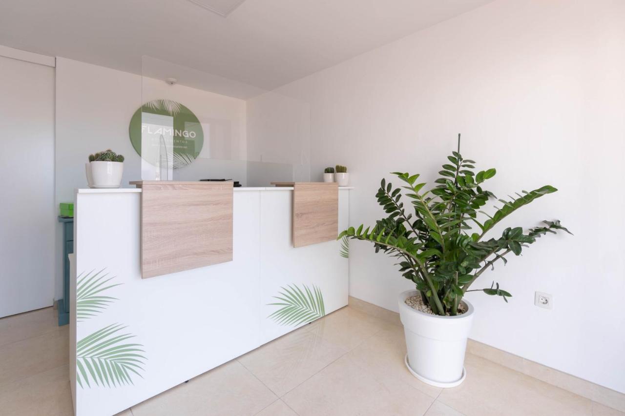 Apartamentos Flamingo Puerto del Carmen  Eksteriør bilde